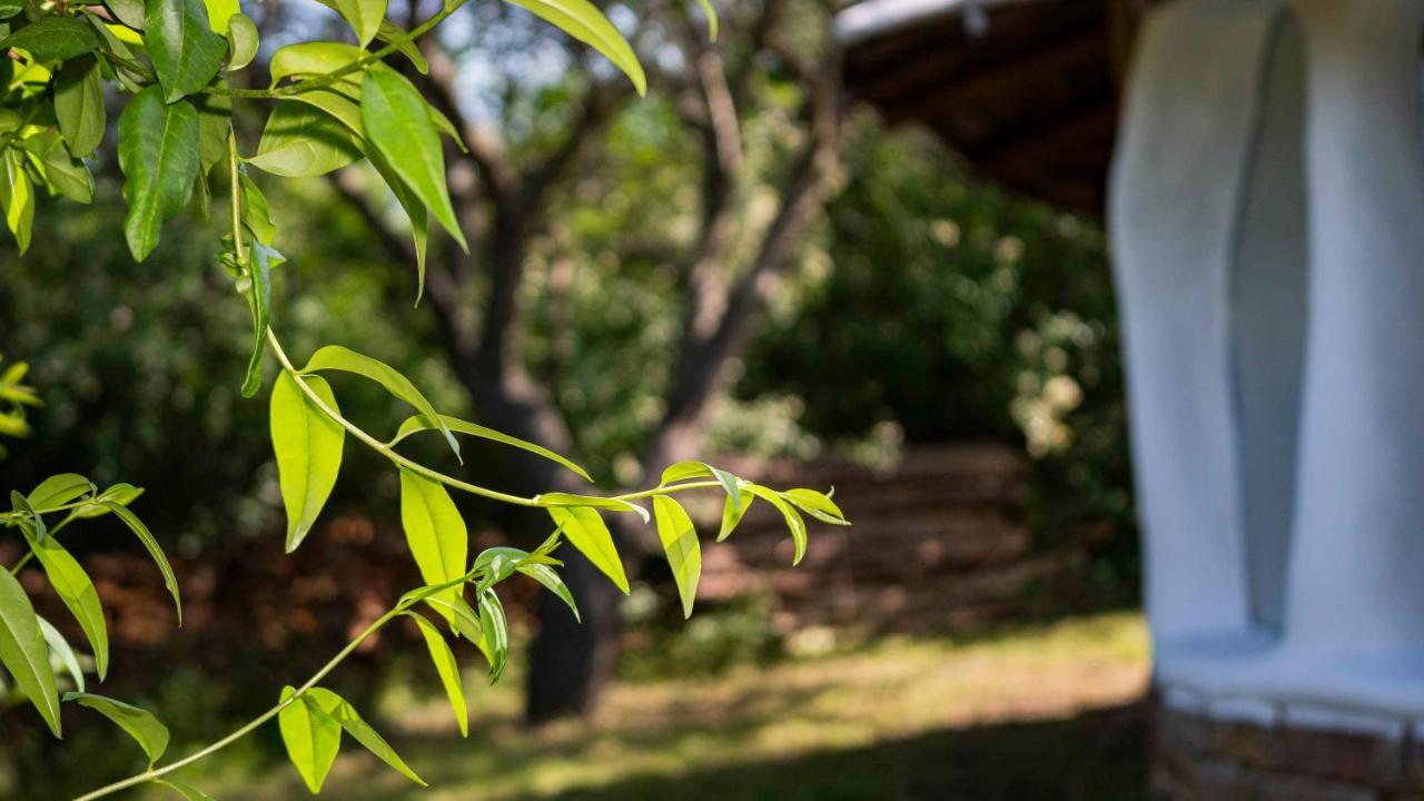 Clay House Banya Villa Banya  Exterior foto